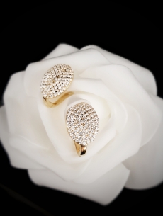 Zlaté náušnice zdobené...