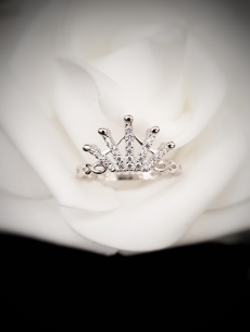 Zlatý prsteň v bielom zlate...