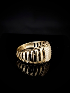 Zlatý prsteň Arkait 2