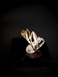 Zlatý prsteň Fiona 2