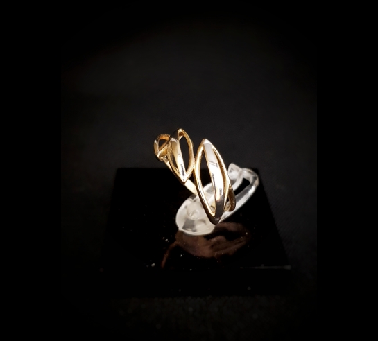 Zlatý prsteň Fiona