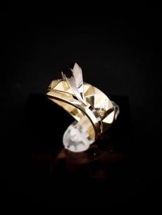 Zlatý prsteň Jaris 2