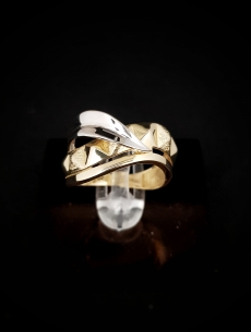 Zlatý prsteň Jaris