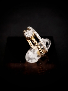 Zlatý prsteň Variol 2