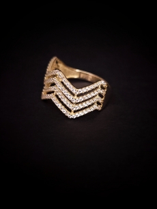 Zlatý prsteň Alsa 2