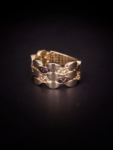 Zlatý prsteň Magnific 2