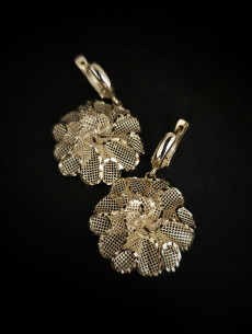 Zlaté náušnice Evix