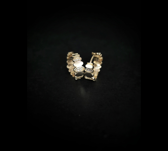 Zlaté náušnice Demi