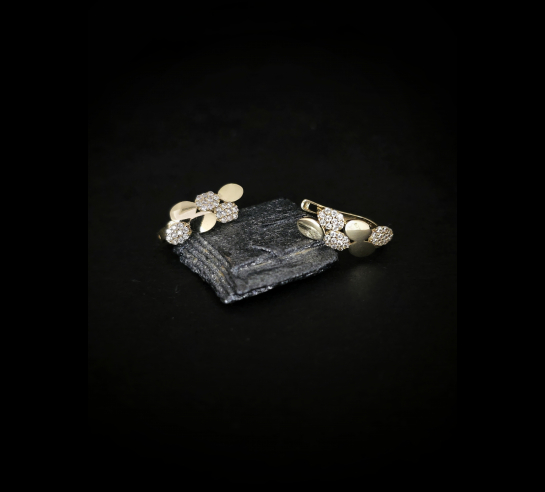 Zlaté náušnice Frances