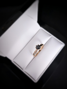 Zlatý prsteň s čiernym... 2