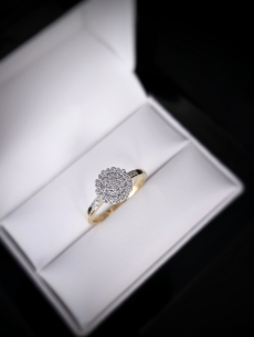 Zlatý briliantový prsteň Flo 2