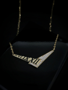 Zlatá Celebritka Anora 2